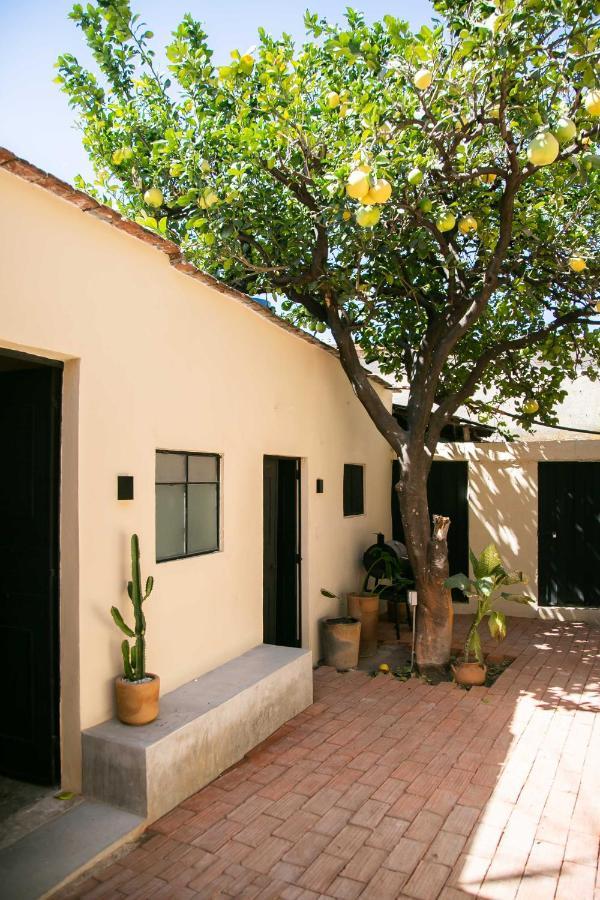 509 Accommodation オアハカ州 エクステリア 写真